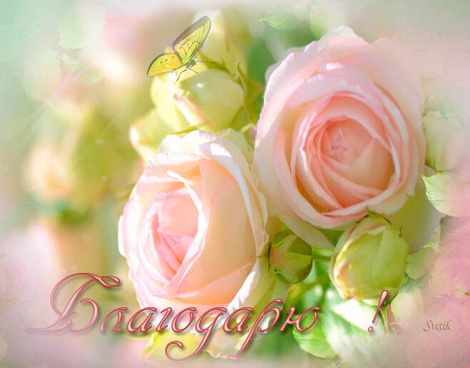 Елена, благодарю Вас за...