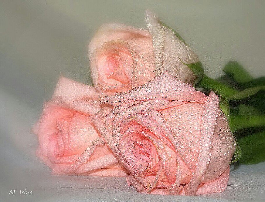 Уместны все сравненья и...