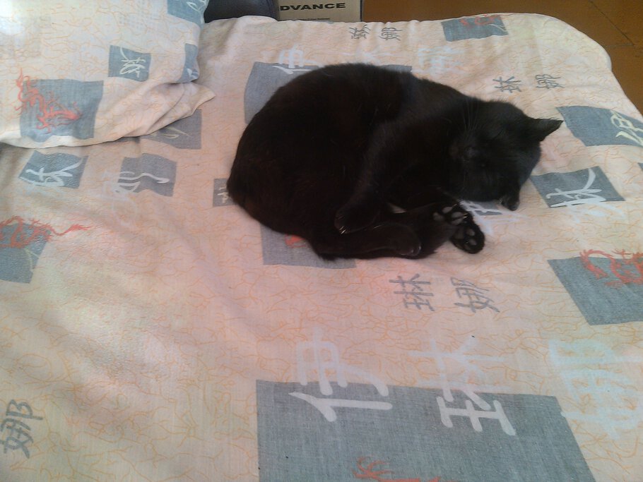 Не знаю говорил я...