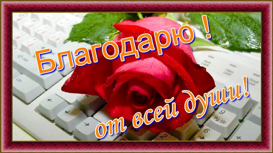 Дорогие, мои милые друзья...