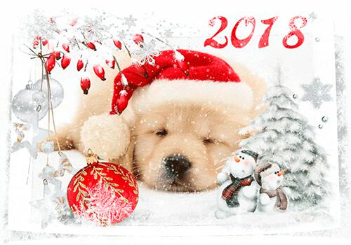 С наступившим Новым годом...