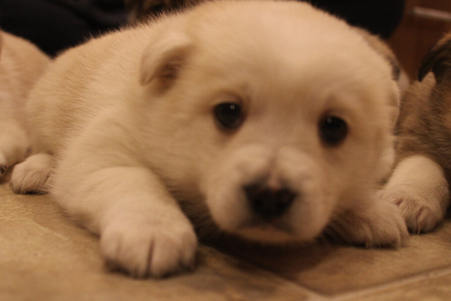 Умничка -- целую тебя...