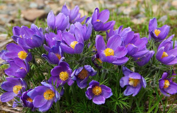 Примите и мои поздравления...