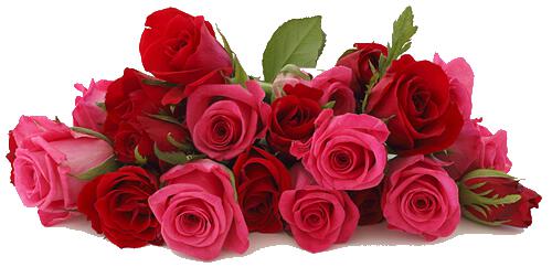 Благодарна, дорогая Тайяна за...