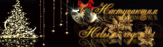 Желаю вам прекрасного Нового...