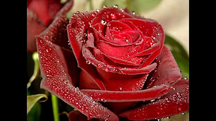 Владимир, с Днём рожденья...