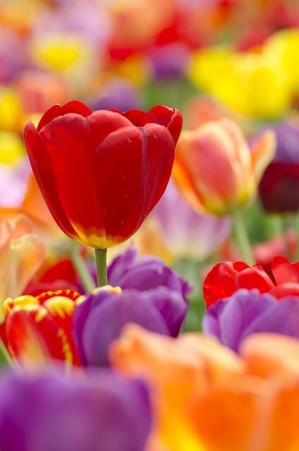 С наступающим праздником, с...