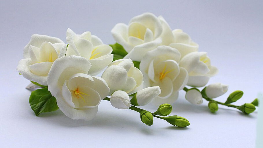 Благоухающей весны! Каждый раз...