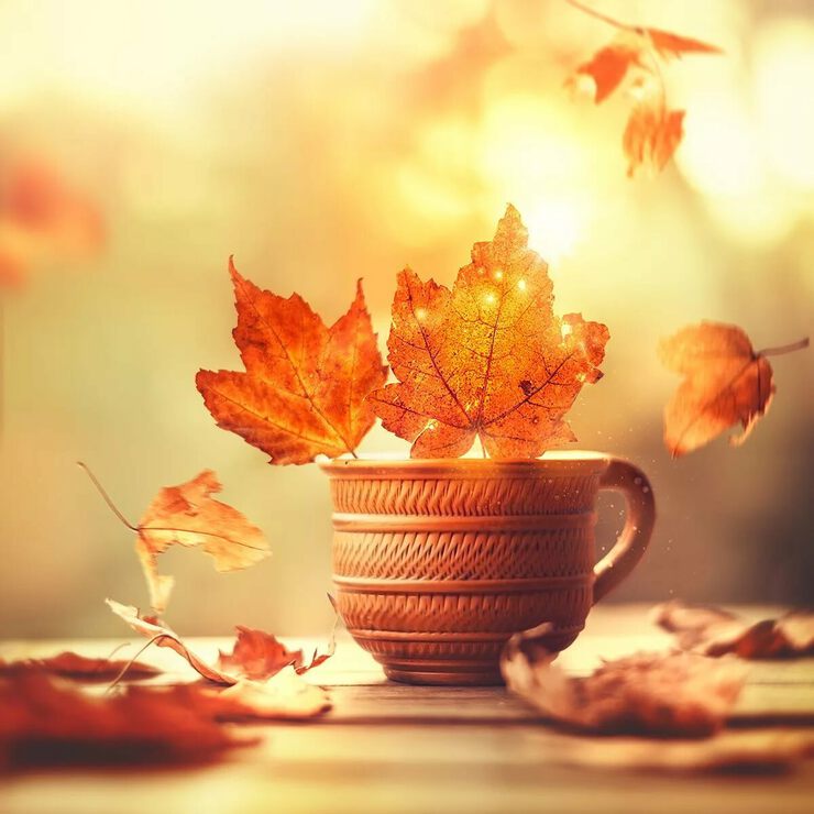 Пожелание Доброго Осеннего Утра