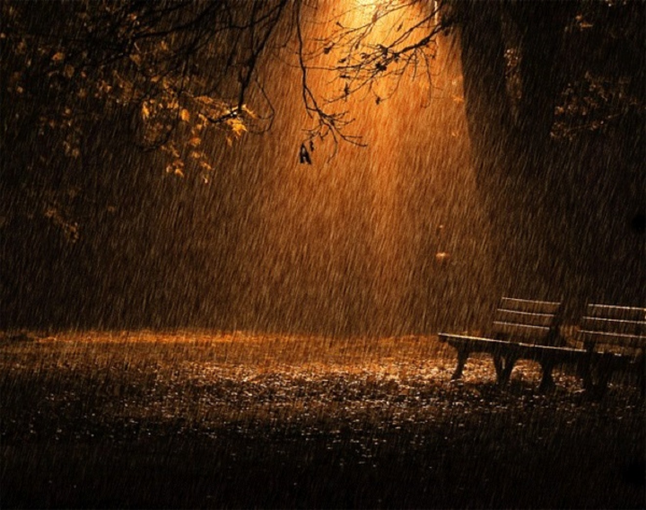 осенний парк дождь