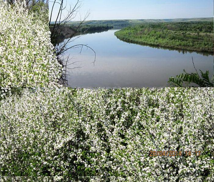 Песня, Ранимая душа