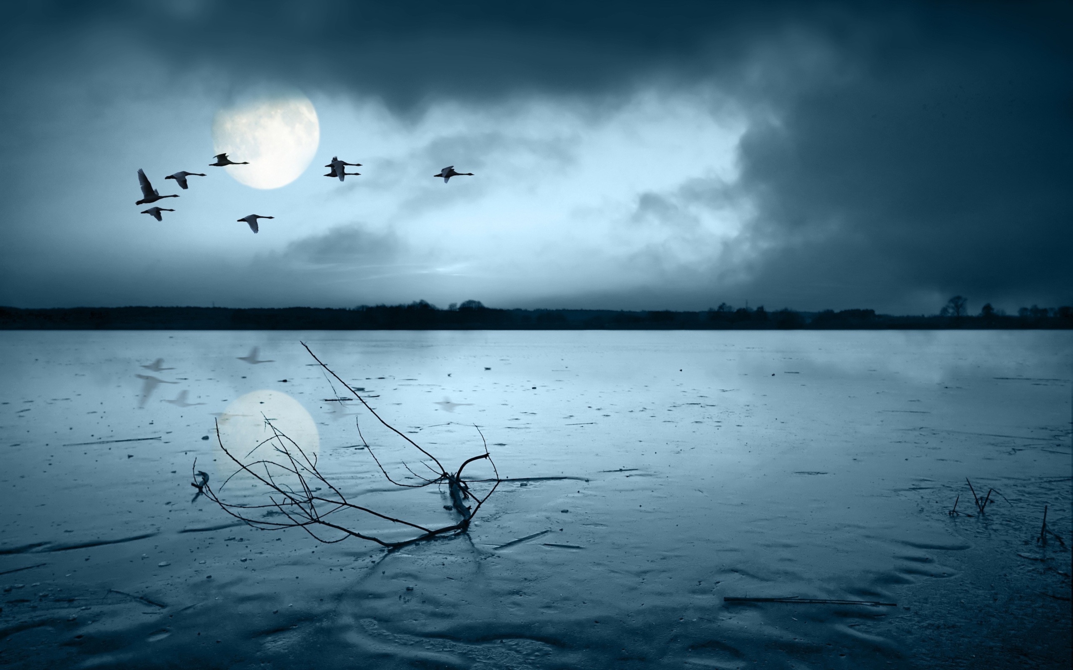 Грустное озеро. Пейзаж. Птицы над озером. Печальная природа. Печальный пейзаж.