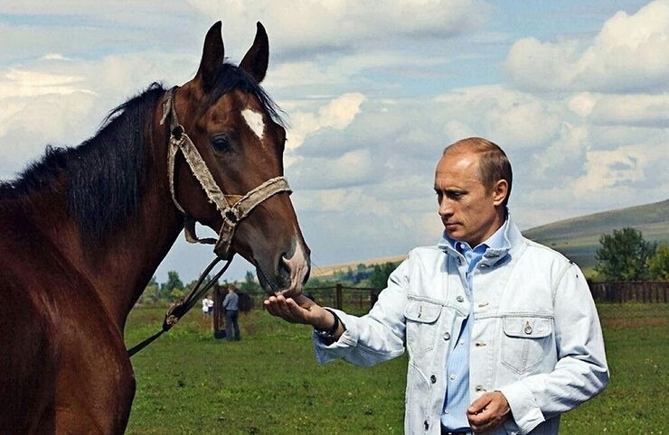 Приснился сон... как на яву