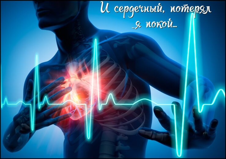 И сердечный, потерял я покой