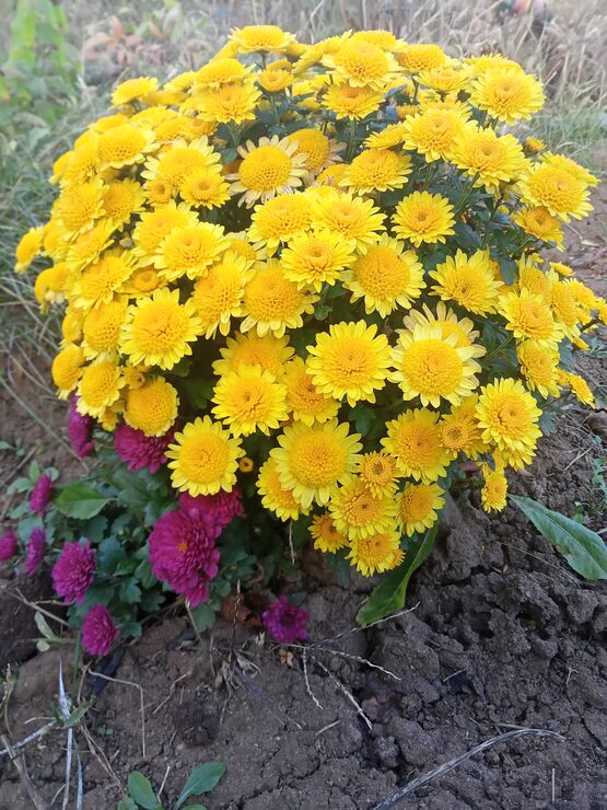 Всё для тебя