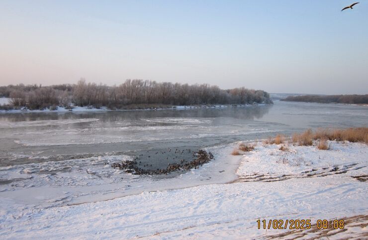 Крепчает мороз на Дону