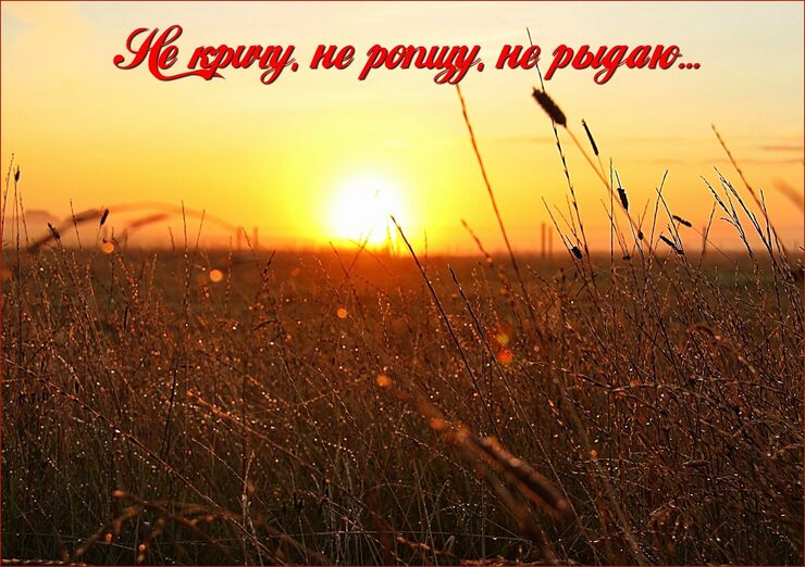 Не кричу, не ропщу, не рыдаю