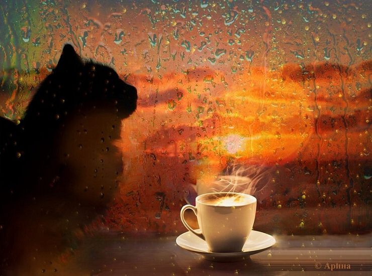 У окна с котом и с кофе