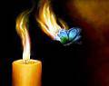 Пламя свечи к себе бабочку манит