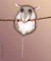 Храбрая мышь