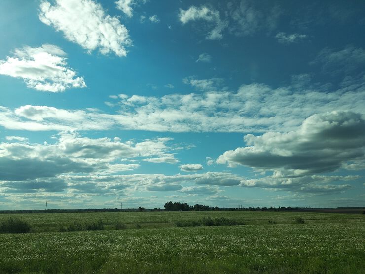 Мещёра. Поцелуй ромашки