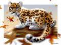 Наша осень - рыжий леопард. Сказки Ажбеты