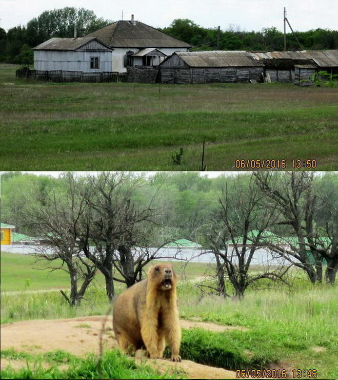 Хутор Краснояровский, Шолоховского района