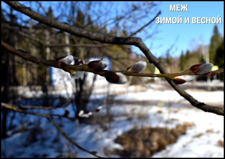 Меж зимой и весной