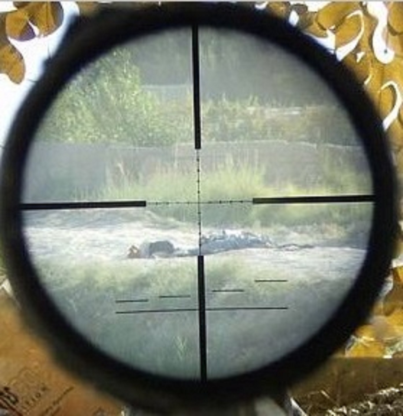 Сбитый прицел. Оптический прицел снайпер. BSA снайперский прицел. Прицел тепляк 35. Вид в оптический прицел снайперской винтовки.