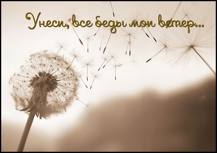 Унеси, все беды мои ветер