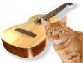 Гитара и рыжая кошка