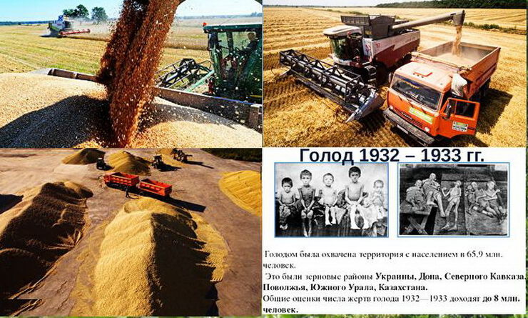 В России собрали невиданный урожай