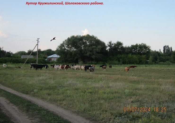 Тепляца донские хутора