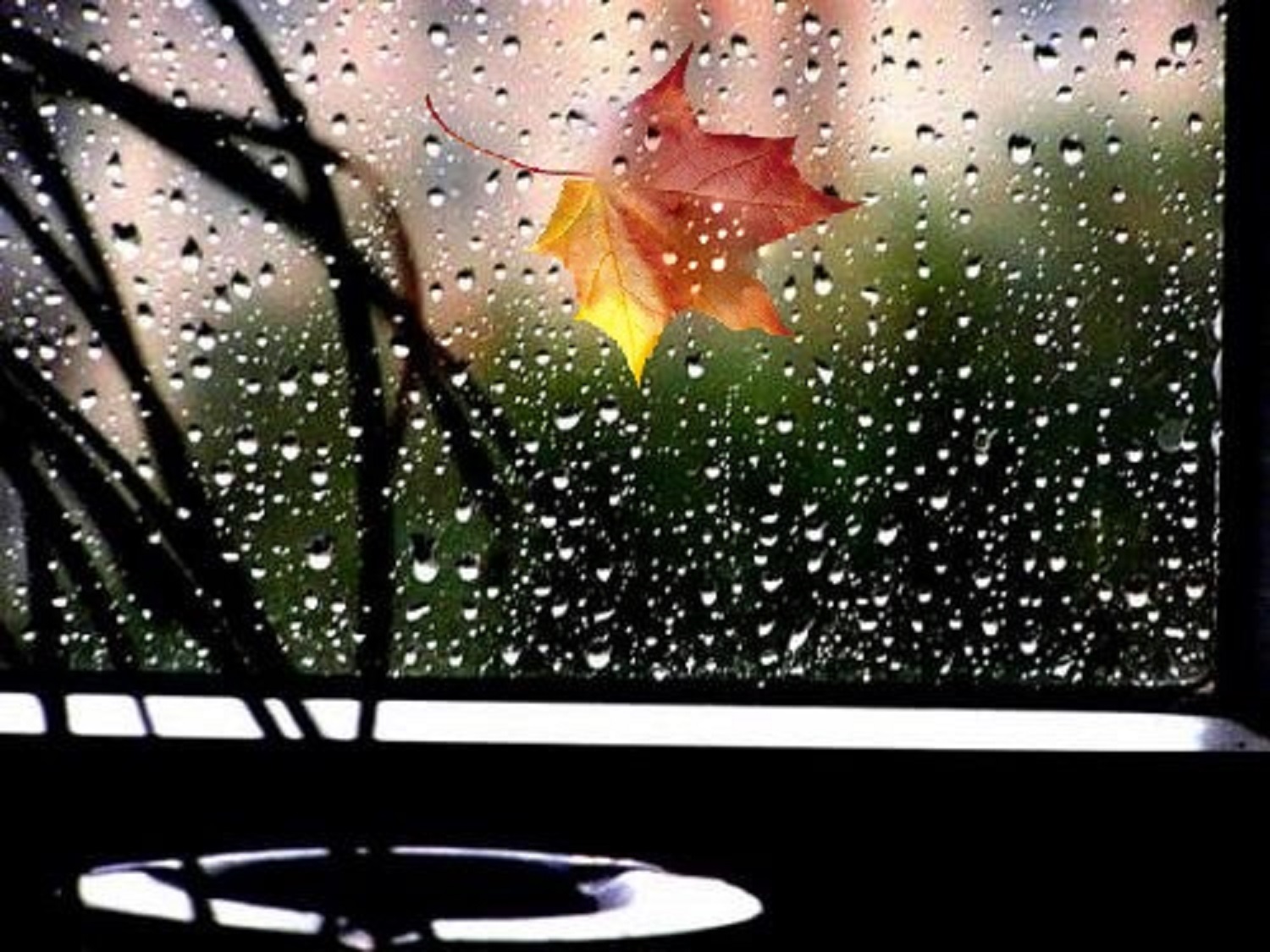 В окна стучали крупные дождевые капли. Дождь за окном. Дождь в окне. Дождь за окном фото. Окно в каплях дождя.
