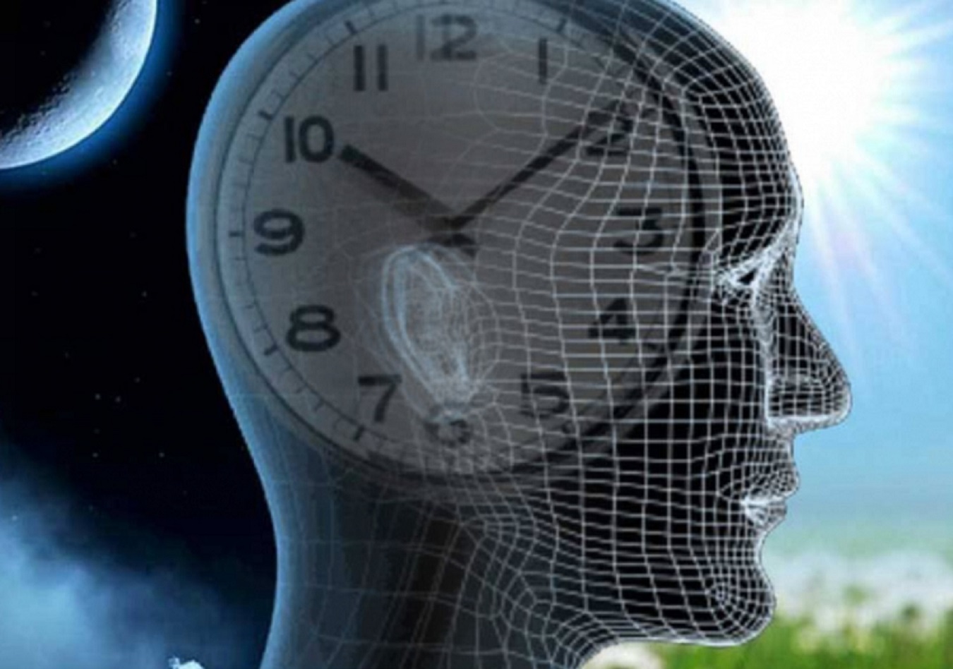 Биологические ритмы сон и его значение. Биологические ритмы. Биоритмы человека. Биологические часы. Часы Биоритм.
