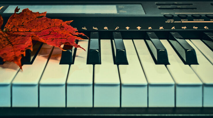 Осенняя мелодия