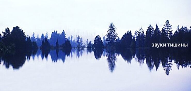 Звуки тишины