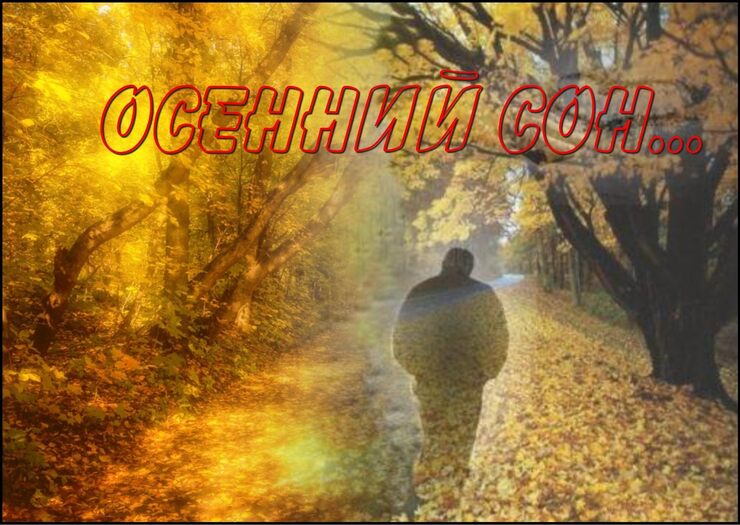 Осенний сон