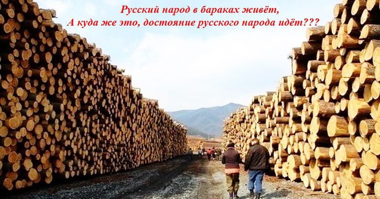 Один миллион 300 тысяч кубических метров российского леса бы