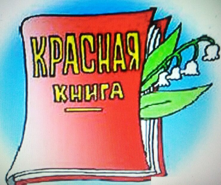 Книга