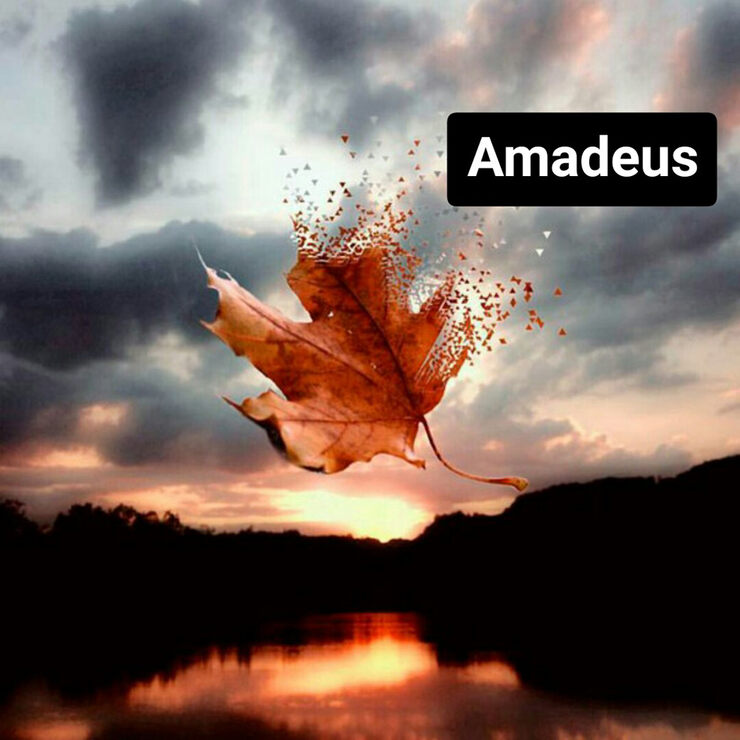 Аmadeus