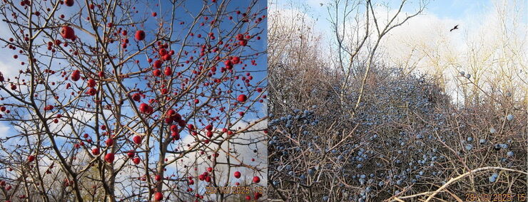 Промчался октябрь