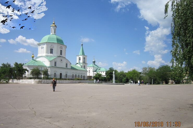 Кружило воронье в 2019-м году над станицей