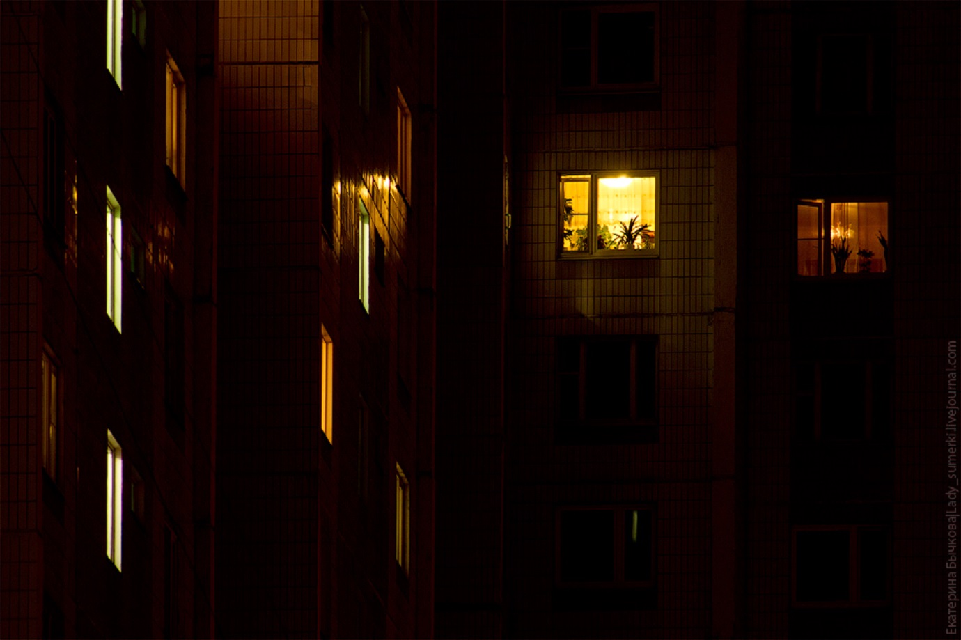Ночные окна