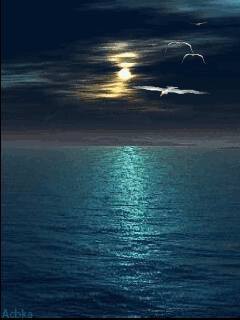 Ночью у моря