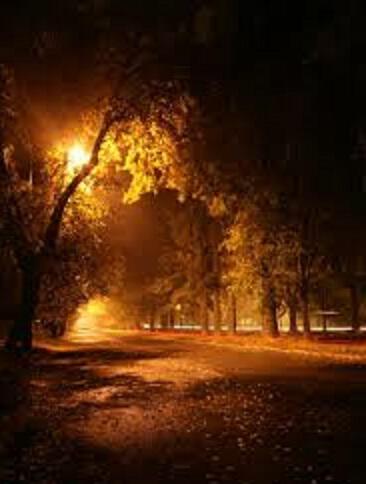 Осенняяя таинственная ночь