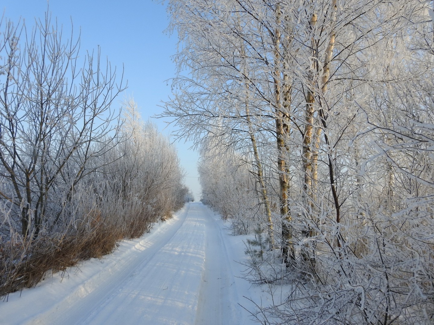 Зимняя дорога песни. По дороге зимней скучной. Зимний скучный путь. Зимняя скучная дорога фото. Зимняя дорога Пушкин.
