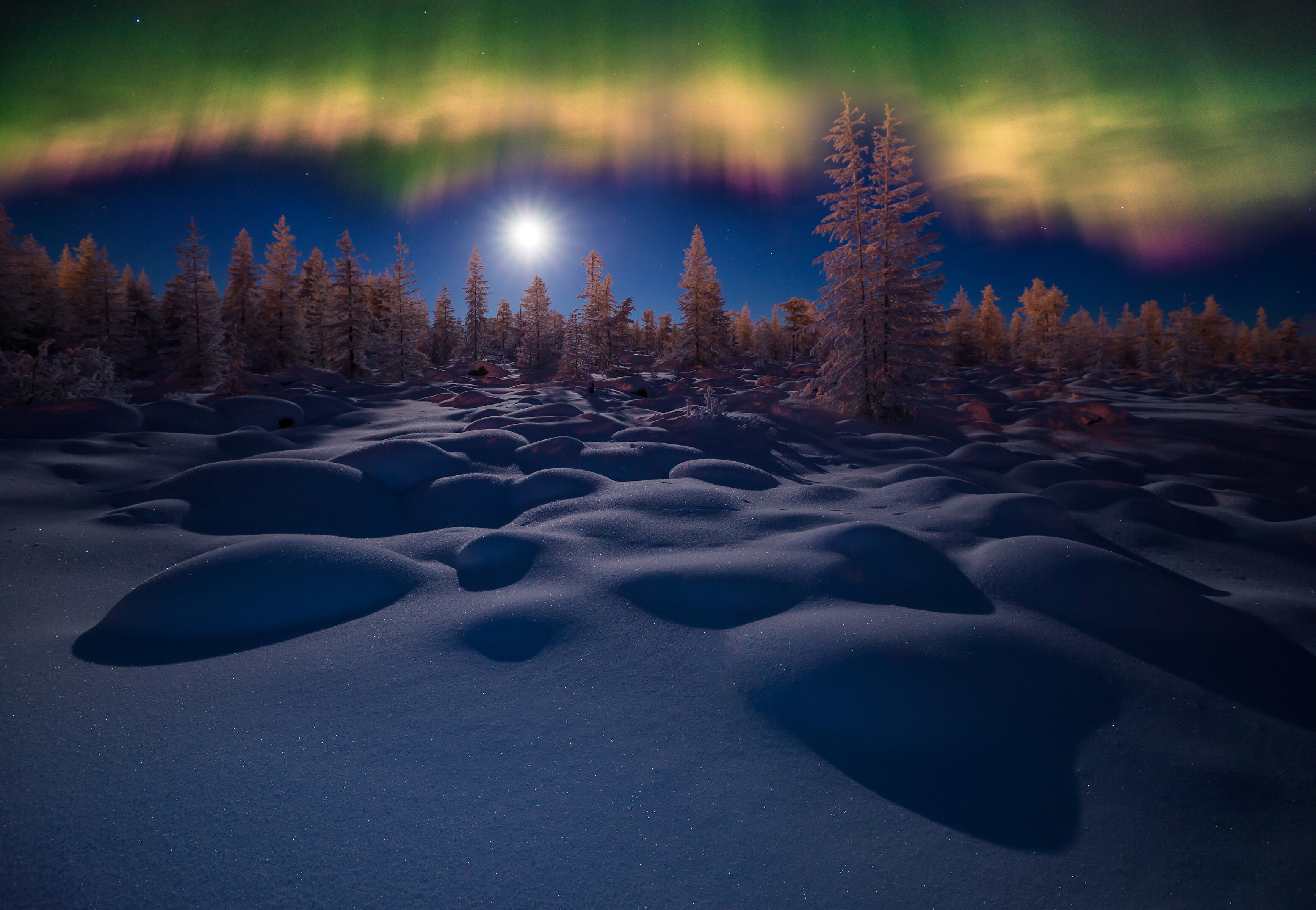 Природные явления тундры. Северное сияние в тундре. Зимний ночной пейзаж. Зимняя ночь. Северный пейзаж.