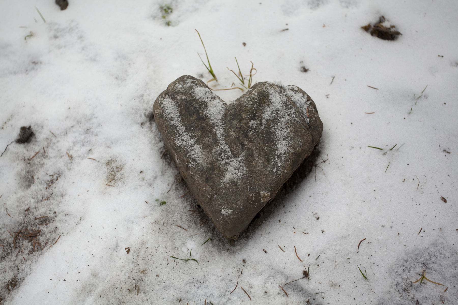 Сердце не камень человек. Каменное сердце. Черствое сердце. Сердце камень. Сердце из камня.