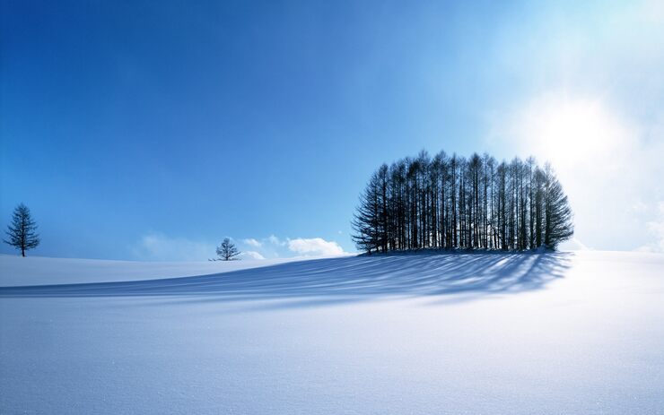 Белым снегом, поле припорошено
